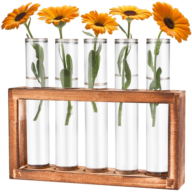 Tigvio Desktop Glass Plant Propagation Station with 5 Test Tubes in Wooden Stand - Hydroponic Plants Cutting Office Home Decoration and Garden Decor Terrarium - Image 1